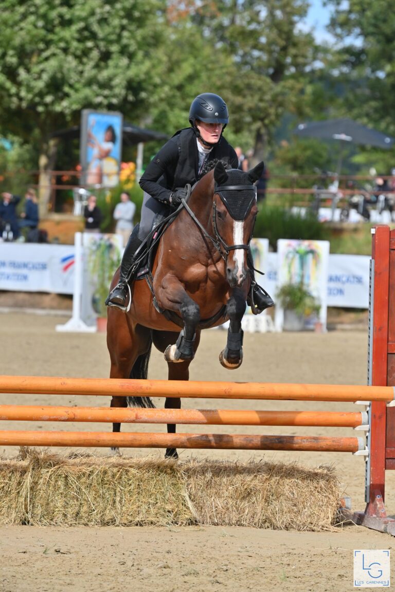 Un cheval saute un obstacle de hunter