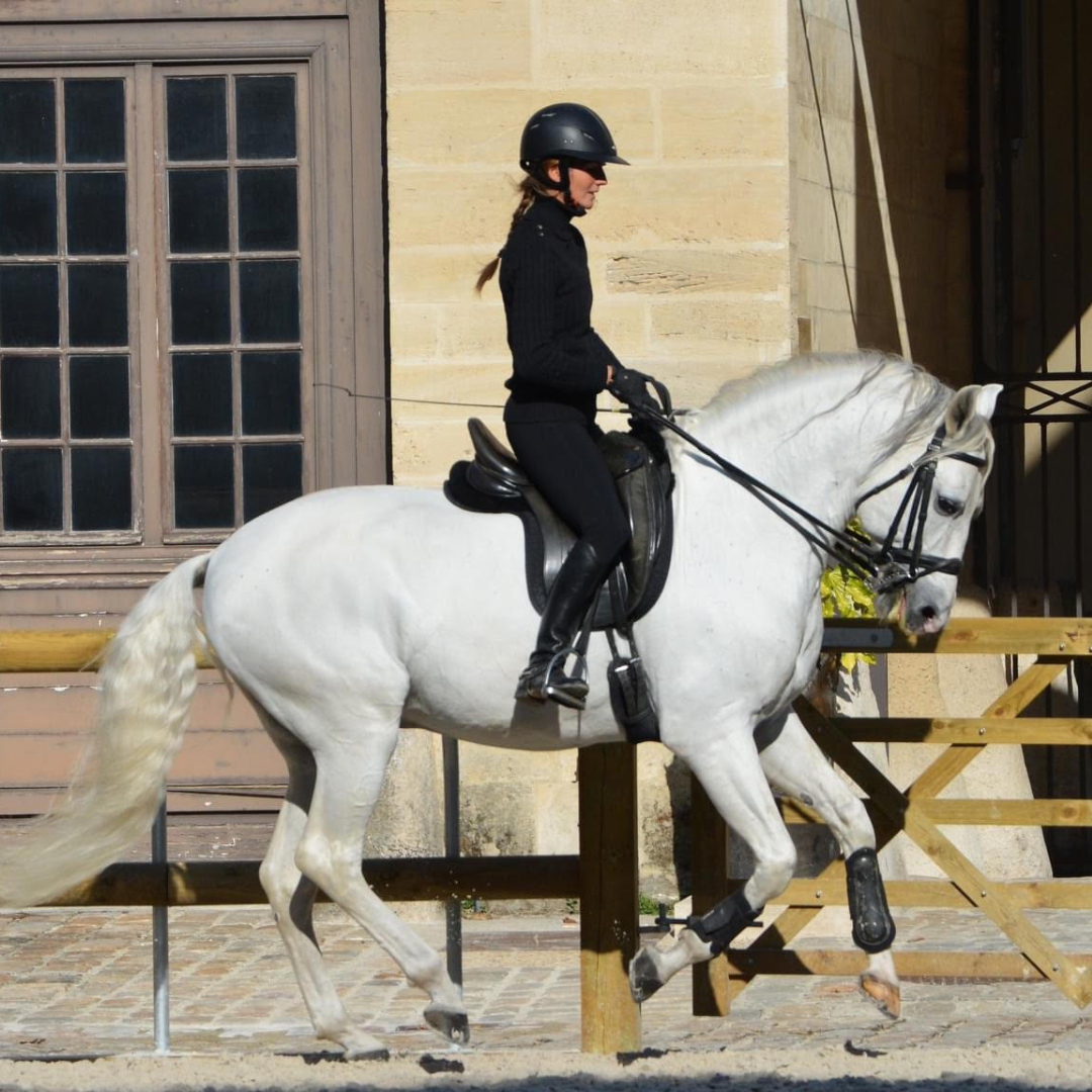 Un cheval de dressage au galop