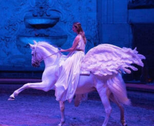 Un cheval dressé au pas espagnol