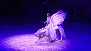 Révérence à cheval