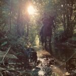 Balade à cheval dans la rivière