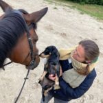 Une amitié chien cheval