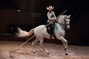 Numéro de dressage au Musée du cheval de Chantilly