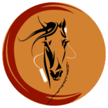 Logo de Botte à Botte coaching